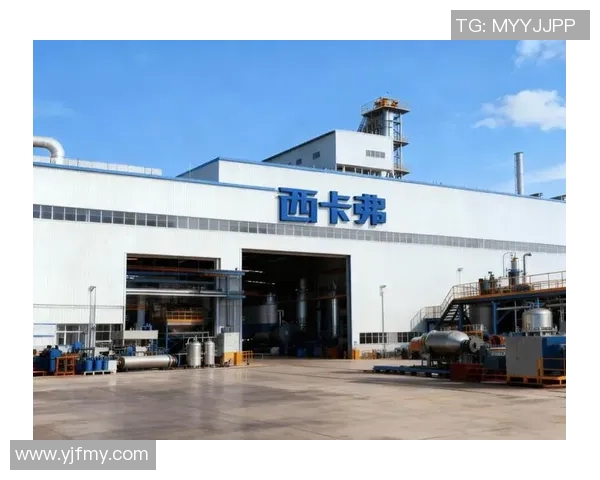 南京极限运动队灵活性引发热议运动员表现与安全性之间的争论